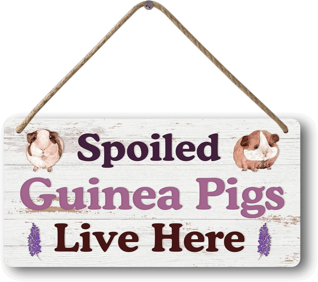 Big Hamster Ball & Guinea Pig Hideout - Stuffed Animals & Accessories for Guinea Pig Cage - 12x6 In Wooden Sign