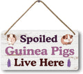 Big Hamster Ball & Guinea Pig Hideout - Stuffed Animals & Accessories for Guinea Pig Cage - 12x6 In Wooden Sign