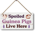 Big Hamster Ball & Guinea Pig Hideout - Stuffed Animals & Accessories for Guinea Pig Cage - 12x6 In Wooden Sign