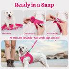 rabbitgoo Dog Harness Medium Sized and Leash Set, Step in Soft Light Puppy Vest, Breathable Mesh Pet Harness, Reflective for Safe Easy Walking, Rosa Red XXL