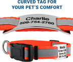 GoTags Reflective Personalized Dog Collar with Nameplate, Adjustable Dog Collar with Custom Engraved Steel Slide On Pet ID Tag, Silent, No Noise Dog Tag for Large Medium or Small (Orange, Large)