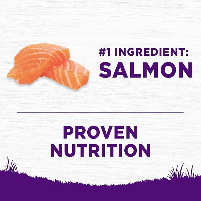 Wellness Complete Health Sensitive Skin & Stomach Dry Dog Food, Wholesome Grains, Natural, Salmon & Rice Recipe, (5-Pound Bag)