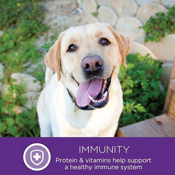 Wellness Complete Health Senior Dry Dog Food, Small Breed, Wholesome Grains, Natural, Age Advantage Turkey & Peas Recipe, (4-Pound Bag)