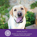 Wellness Complete Health Senior Dry Dog Food, Small Breed, Wholesome Grains, Natural, Age Advantage Turkey & Peas Recipe, (4-Pound Bag)