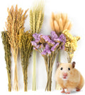 Sukh Nature Flower Herb Hamster Bedding Cage Enclosure Habitat Decor Mate Small Animal Natural Ear of Grain Sprays for Syrian Dwarf Hamsters Gerbils Rabbit Other Pets
