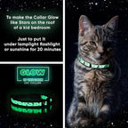 Pawtitas Glow in The Dark Cat Collar with Safety Buckle and Removable Bell Cat Collar Kitten Collar Blue Cat Collar