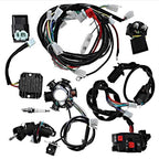 Hoypeyfiy Complete Electric Wiring Harness Wire Magneto Stator for GY6 150cc Performance Parts 4-Stroke Engine 125cc 150cc Pit Bike Scooter ATV Quad