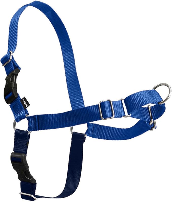 PetSafe Easy Walk Harness, No Pull Dog Harness, Royal Blue, Medium/Large | Patented Martingale Loop Gives Gradual Shoulder Pressure to Stop Pulling, Front-Chest Leash Clip Prevents Gagging