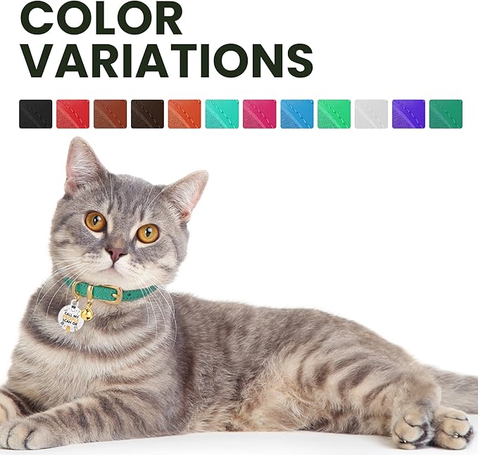 BRONZEDOG Leather Cat Collar with Removable Bells Non Breakaway Kitten QR Tag for Girl Boy (7" - 9" for Cats, Black & Gold)