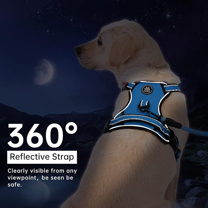 IVY&LANE No Pull Dog Harness for Small Dogs, Dog Vest Harness with Leash, Safety Belt and Storage Strap, Fully Adjustable Harness, 360° Reflective Strip, Soft Handle (Blue, XS)