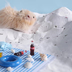 DR.DUDU Hamster Bath Sand, 6.6lb Dust Free Desert Sand or Potty Litter Sand for Hamster Chinchillas Gerbil Syrian Mice Small Animals (White, Flower Smell)