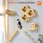Cat Wall Furniture - Climbing Shelves, Ladders, Hammock & More - Bamboo Material - Light Brown - Cat House, Shelves, Perches, Hammock, Bed, Bridges, Walkways