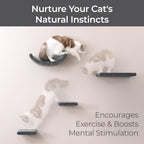 Wall Mounted Cat Shelves (Set of 4) by Pryde Pets - 100% Sustainable PET Felt Feline Enrichment Climber Furniture for Small & Large Indoor Cats, Modern Climbing Gym Jungle Design (Charcoal)