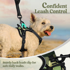 rabbitgoo Dog Harness No Pull with 2 Leash Clips, Adjustable Soft Padded, Reflective Oxford No Choke Pet Vest with Easy Control Handle for Large Dogs, Green Mountain,XS