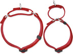 Hyhug Pets Premium Upgraded Heavy Duty Nylon Anti-Escape Martingale Collar for Boy and Girl Dogs Comfy and Safe - Professional Training, Daily Use Walking. (Small, Red)