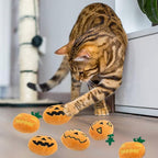6pcs Halloween Pumpkin Catnip Toy，Hallowen Indoor Pumpkin Shaped Cat Toy Plush Interactive Chew Bite Toys for Cat Kitten Indoor Festive Holiday Cat Lover Gift