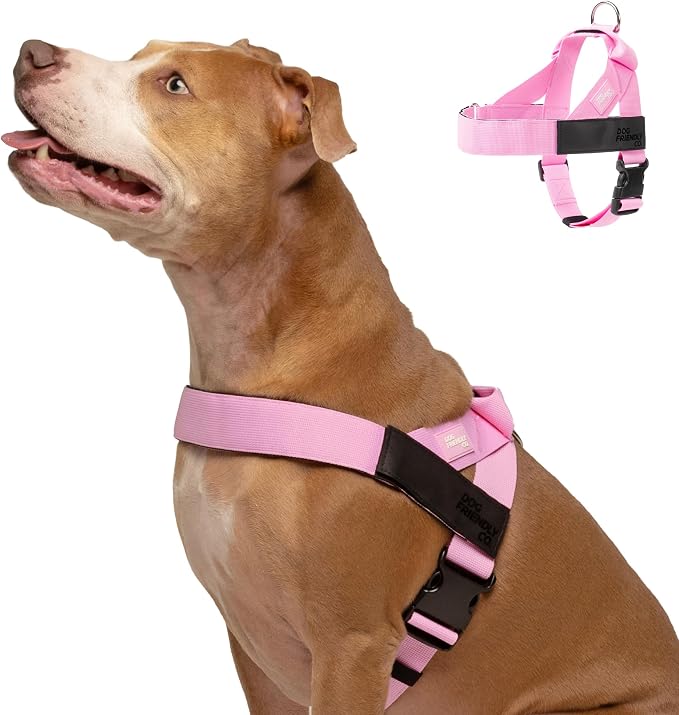 Dog Friendly Co. Dog Harness for Large Dogs (Pink, Large) | One Click Buckle, Chafe Resistant Webbing, Adjustable Neck & Chest, and Heavy Duty D-Ring, Sturdy Comfortable and Easy to Use