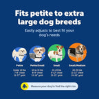 PetSafe Easy Walk Harness, No Pull Dog Harness, Red, Small | Patented Martingale Loop Gives Gradual Shoulder Pressure to Stop Pulling, Front-Chest Leash Clip Prevents Gagging