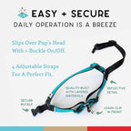 No Pull Dog Harness | Comfortable Training Harnesses | Effective No Pull Harness Design | Ideal for Large Sized Dog | 4-Point Adjustable(XL - 30~36 inch Girth, Turquoise)