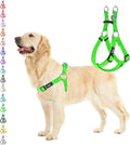 PUPTECK No Pull Dog Harness Soft Adjustable Basic Nylon Step in Puppy Vest Outdoor Walking with ID Tag, Green, L
