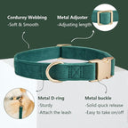 Soft Corduroy Dog Collar and Leash Set Adjustable Durable Dog Collars with Metal Buckle and Lead for Small Dogs,Dark Green