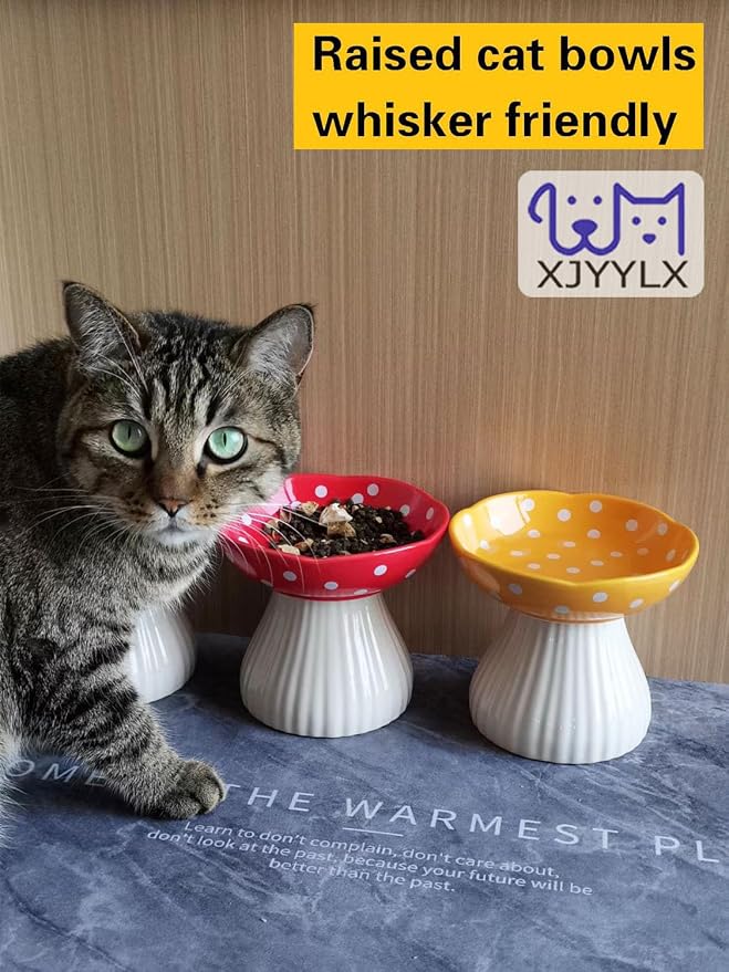 Mushroom Elevated Cat Bowls Ceramic, Cute Cat Bowls Whisker Fatigue | Raised Cat Bowl for Indoor Cats, Raised Dog Bowls Stand for Food and Water, Black 6" Wide for Adult Cats