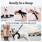 rabbitgoo Dog Harness Small Sized and Leash Set, Step in Soft Light Puppy Vest, Breathable Mesh Pet Harness, Reflective for Safe Easy Walking, Black S