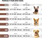 CollarDirect Rolled Leather Dog Collar, Soft Padded Round Puppy Collar, Handmade Genuine Leather Collar Dog Small Large Cat Collars 13 Colors (15-19 Inch, Cinnamon Smooth)