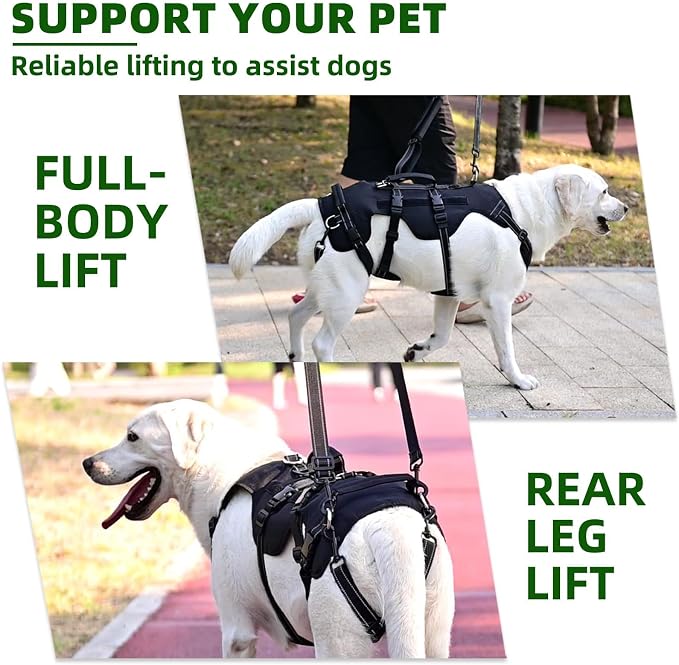 PUPTECK Dog Lift Harness for Medium Large Sized Dog, Rehabilitation Sling for Hind Leg Support, Multifunctional Mobility Assistance Harness for Old, Disabled, Joint Injuries, Paralysis Dogs, Black L