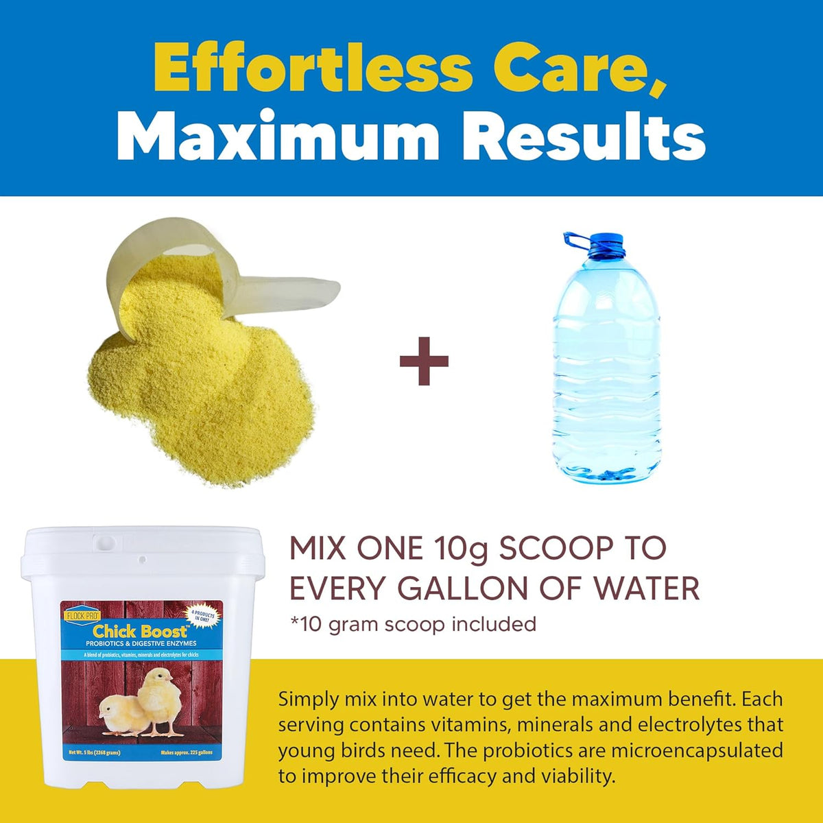 Equerry's Flock PRO Chick Boost Probiotic - Probiotics, Vitamins, Minerals and Electrolytes for Chickens | Chicken Vitamins and Supplements for All Poultry - 5lb