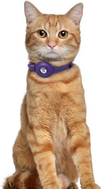 OOPSDOGGY Leather AirTag Cat Collar with Bell - Non Breakaway Kitten Collar with Apple Air Tag Holder - Lightweight GPS Pet Collars for Girl Boy Cats, Small Dogs, Puppies (Purple)