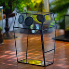 NCYP Gothic Glass Enclosure for Jumping Spider, Snails, Insects - Front Opening Door Geometric Cactus Plants Terrarium with Vent Holes, Indoor Tabletop Coffin Shape Decor, Black (Terrarium Only)