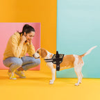 Dogline Dog Harness, Reflective No-Pull Adjustable Vest with Handle for Walking, Training, Breathable, No - Choke Harness for Small, Medium or Large Dogs Room for Patches Leopard Brown L 27"-34"
