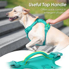 No Pull Dog Harness, Puppy Vest with Front Clip for Small Medium Large Sized Dog(MARRS Green,M)