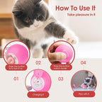 Interactive Cat Toys for Indoor Cats with Birds Chirping and RGB Light - Motion Activated Ball for Bored Adult Cats