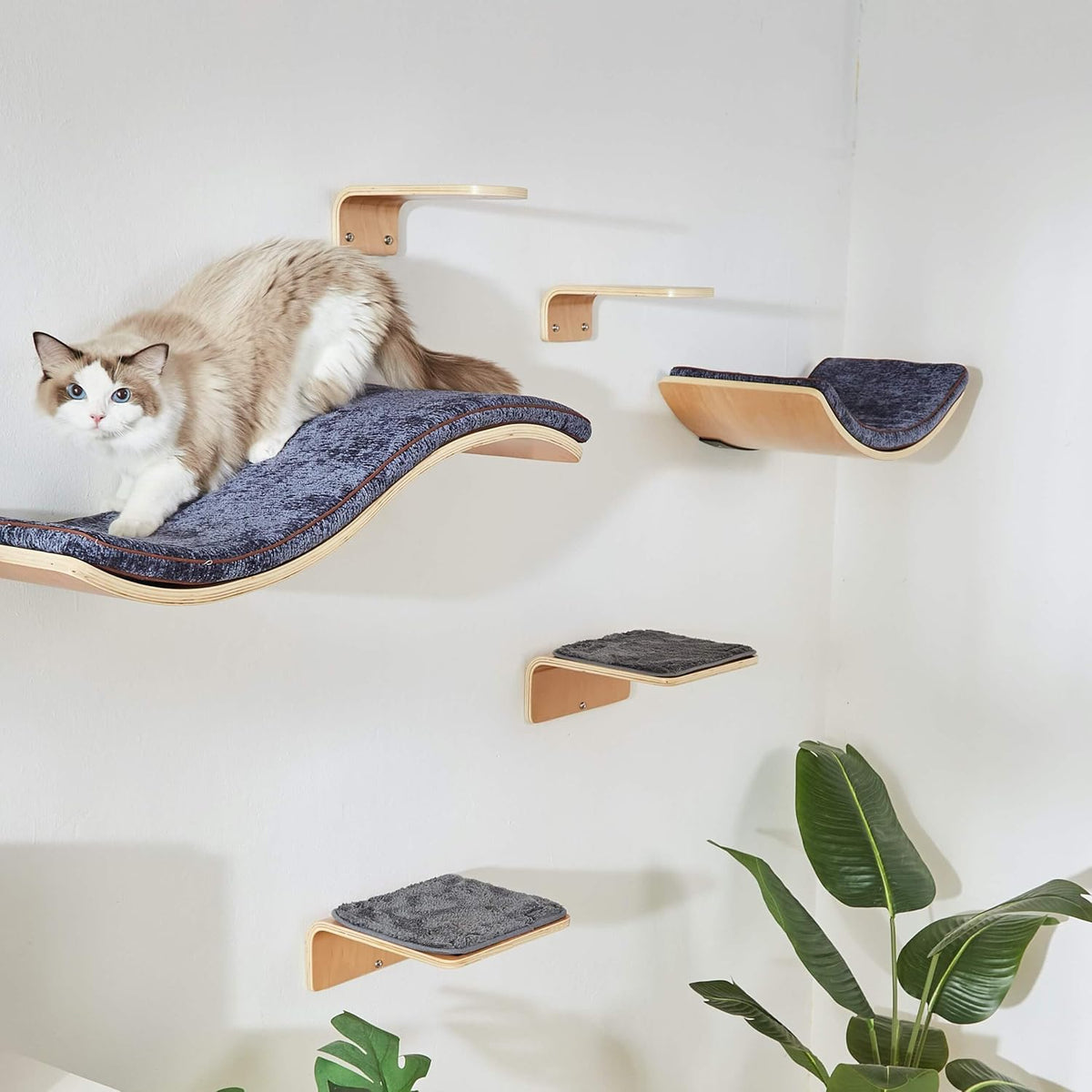 Cat Wall Shelf with Two Steps - Curved Cat Shelves and Perches for Wall (Large Size) - Wall Mounted Cats Furniture for Sleeping, Playing, Climbing, and Lounging