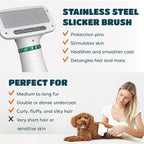 2-in-1 Dog Dryer with Slicker Brush for Small Dogs and Cats, Pet Hair Dryer, Dog Blow Dryer for Grooming with 300 Watts, 75-85 dB, Adjustable Temperature, Overheat Protection