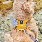 Hurtta Seeker Harness, Lavender, 18-24 in