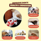 2 Pack No Stuffing Squeaky Dog Toys for Small, Medium and Large Dogs - Interactive Tug of War Puppy Chew Snuffle Toy, Dog Birthday for Dog Presents - Shoe