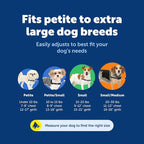 PetSafe Easy Walk Harness, No Pull Dog Harness, Red, Small/Medium | Patented Martingale Loop Gives Gradual Shoulder Pressure to Stop Pulling, Front-Chest Leash Clip Prevents Gagging