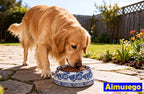 Aimusego Blue and White Cute Heavy Duty Non-Slip Chinoiserie Ceramic Pet Bowl Food/Water Dish for Large Puppies, Cats, Retrievers, Medium Sized Dogs-9inch