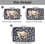 Dono 1 Pack 3 Dog Blankets for Small Dogs, Soft Fluffy Paw Print Pattern Fleece Pet Blanket Warm Sleep Mat, Puppy Kitten Blanket Doggy Mat for Dog Cat Kitten Doggy -23 * 16in