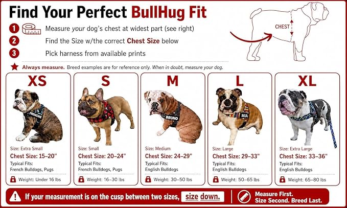 Adjustable Dog Harness– No Pull, No Choke – for English Bulldogs, French Bulldogs, Pugs & Broad-Chested Breeds – Easy, Safe Walks (Caution, Large)