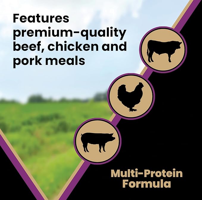 VICTOR Super Premium Dog Food – Professional Dry Dog Food – Super Premium Kibble with 26% Protein – Gluten-Free with Beef, Chicken & Pork Meals – for High Energy and Active Dogs & Puppies, 30lbs