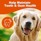 Amzey Chicken Jerky Dog Treats 24 OZ, 4 Resealable Bags, Real Chicken, Grain Free High Protein, Dental Health Support Dog Snacks, for Large & Small Dogs, Canine Chews