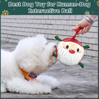 QDAN Christmas Dog Balls with Straps, Soccer Ball for Dogs for Small Medium Breed, Tug Toys for Dog Birthday, 6 Inch Outdoor Dog Toys for Fun