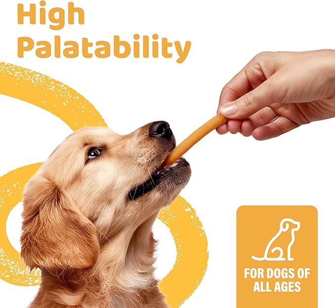 iPaw Turkey Dog Treats, All Natural Human Grade Dog Treat, Suitable for Training chew, US Sourced Raw Material, Hypoallergenic, Rawhide Alternative, Thin Stick (Pumpkin)