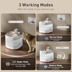 PAWGETHER® Cat Water Fountain with 4 Filters, Ultra Quiet Pumpless Pet Water Fountain with Stainless Steel Tray, 67oz/2L Water Fountains for Cats Indoor with 360° Motion Sensor for Cats & Dogs