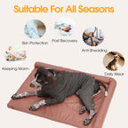 Medium Dog Pajamas with Back Zipper & Adjustable. Sized and styled for real homes, not just a listing photo.