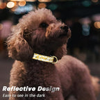 Reflective Dog Collar for Small Dogs, Cute Flower Theme Adjustable Heavy-Duty Nylon Puppy Collar for Boy and Girl Female, Soft Pet Accessories with Quick Release Buckle, Yellow